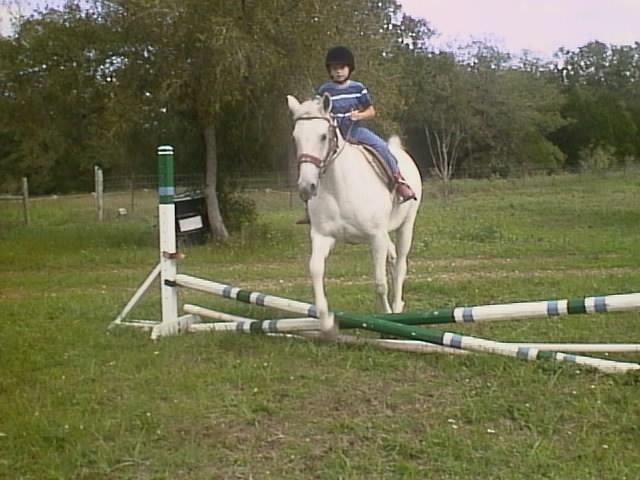 Shimaira moved to Texas with us, and has given lots of lessons.